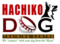 Hachiko Dog Training Centre